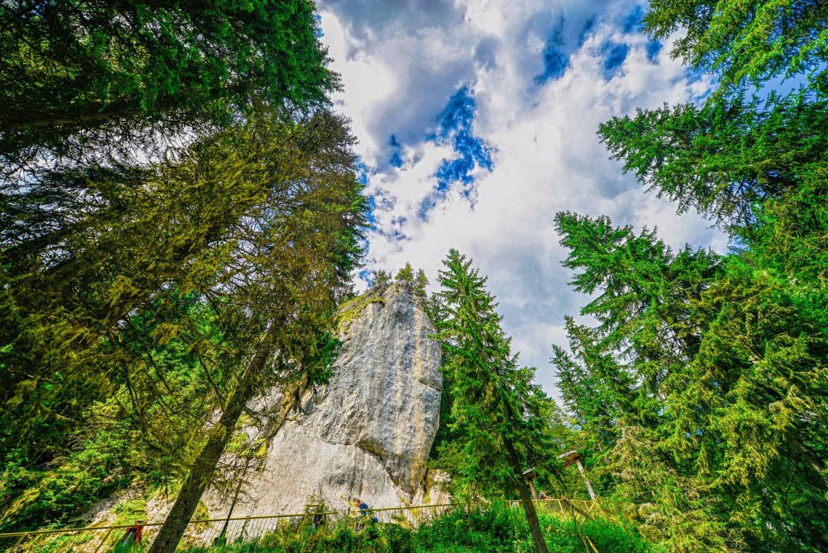 Despre modele şi criza valorilor 225268