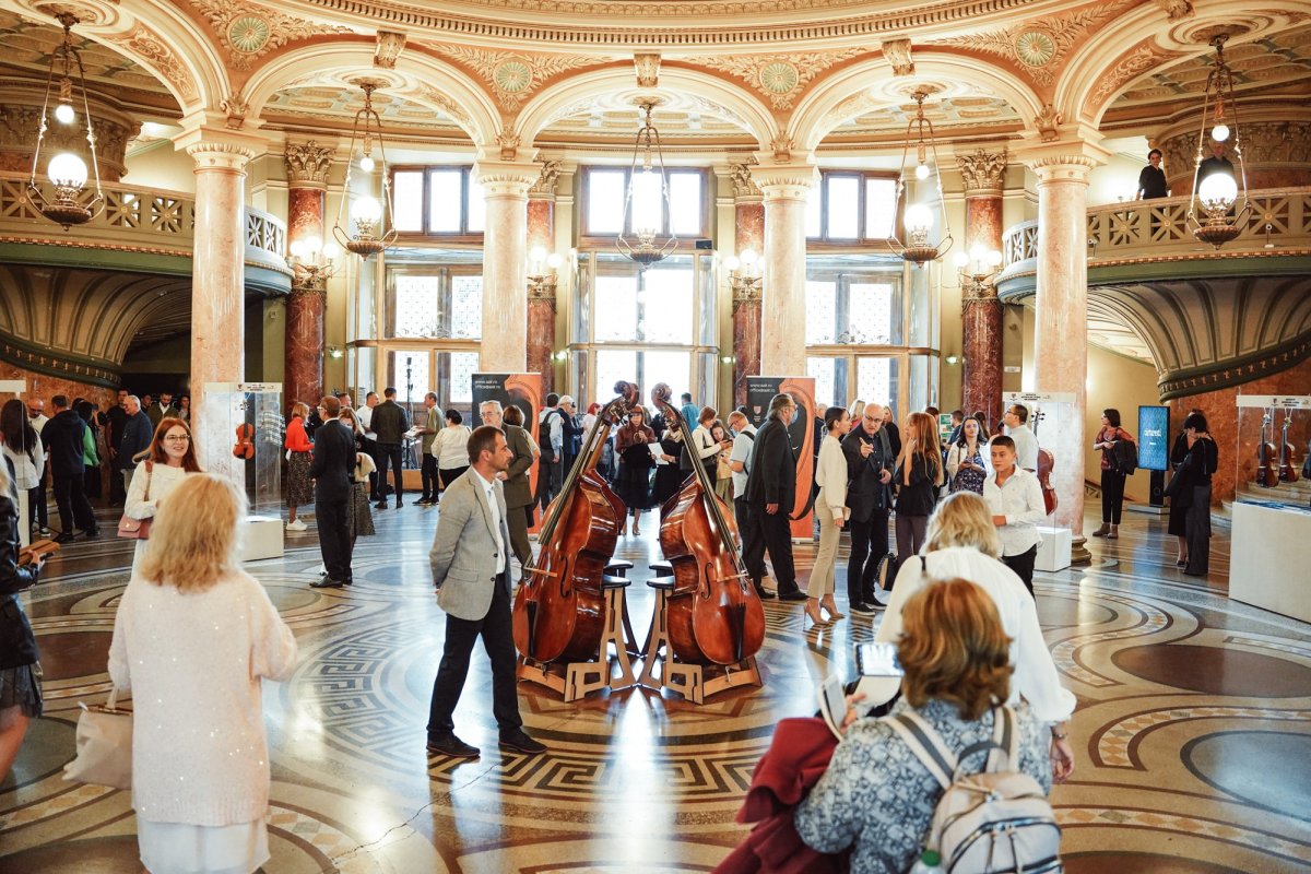 Viitorii mari interpreți 225387