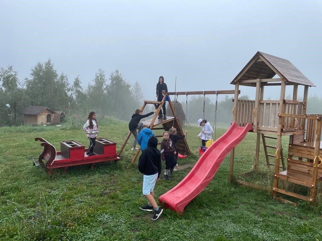 Minitabără de alimentaţie sănătoasă la Poiana Mărului, judeţul Braşov 225517