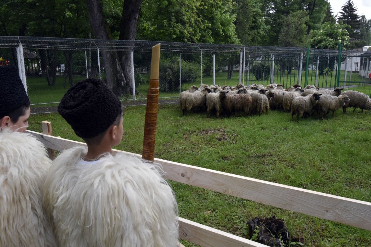 Bani pentru înființarea de stâne 226195