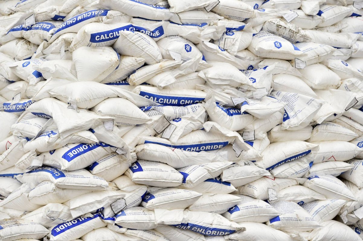 Exporturi de sare în creștere 227095