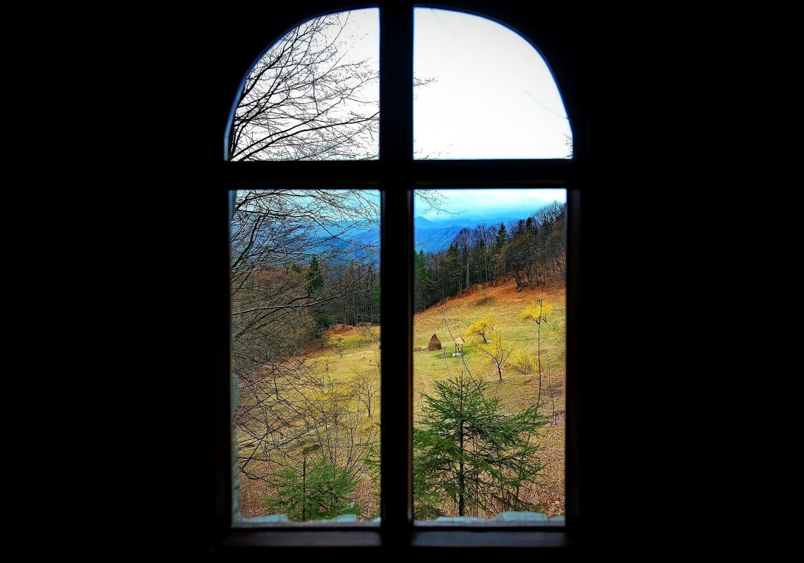 Ziditorul are puterea să ne renască la o nouă viață  227174