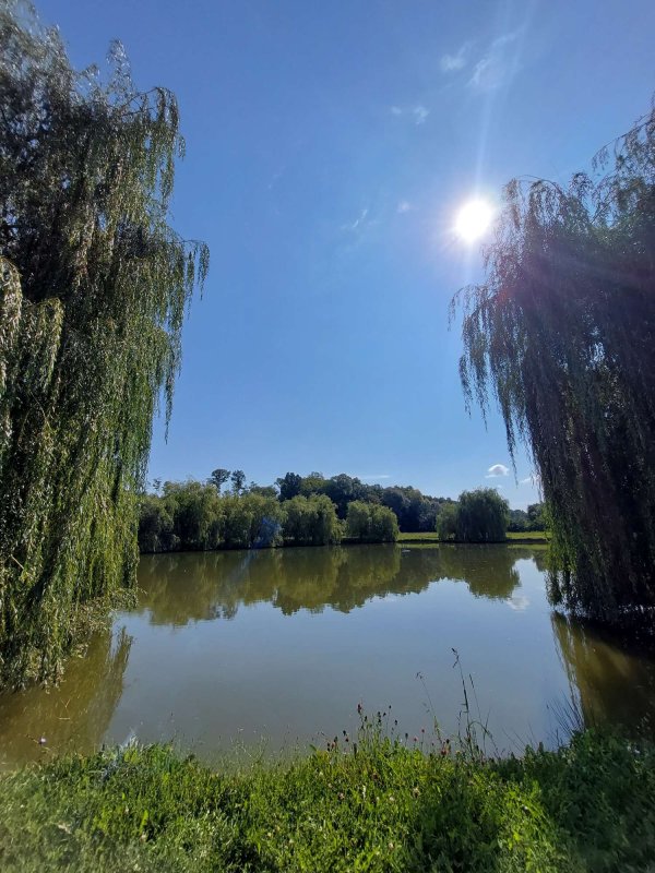 Mănăstirea Vorona - vatră a monahismului românesc 227014