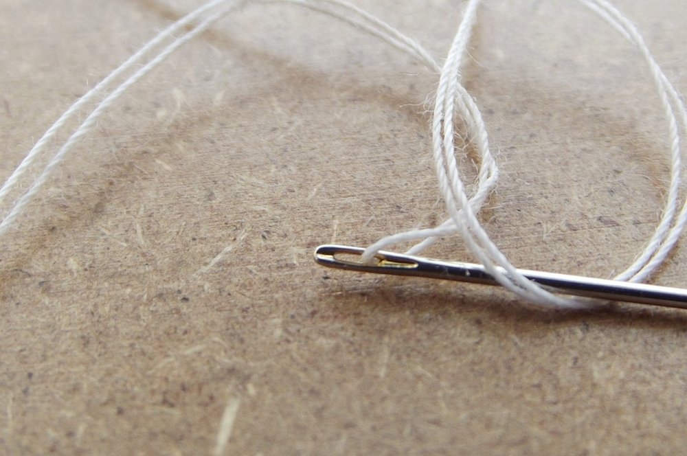 Urechi de măgar 228012