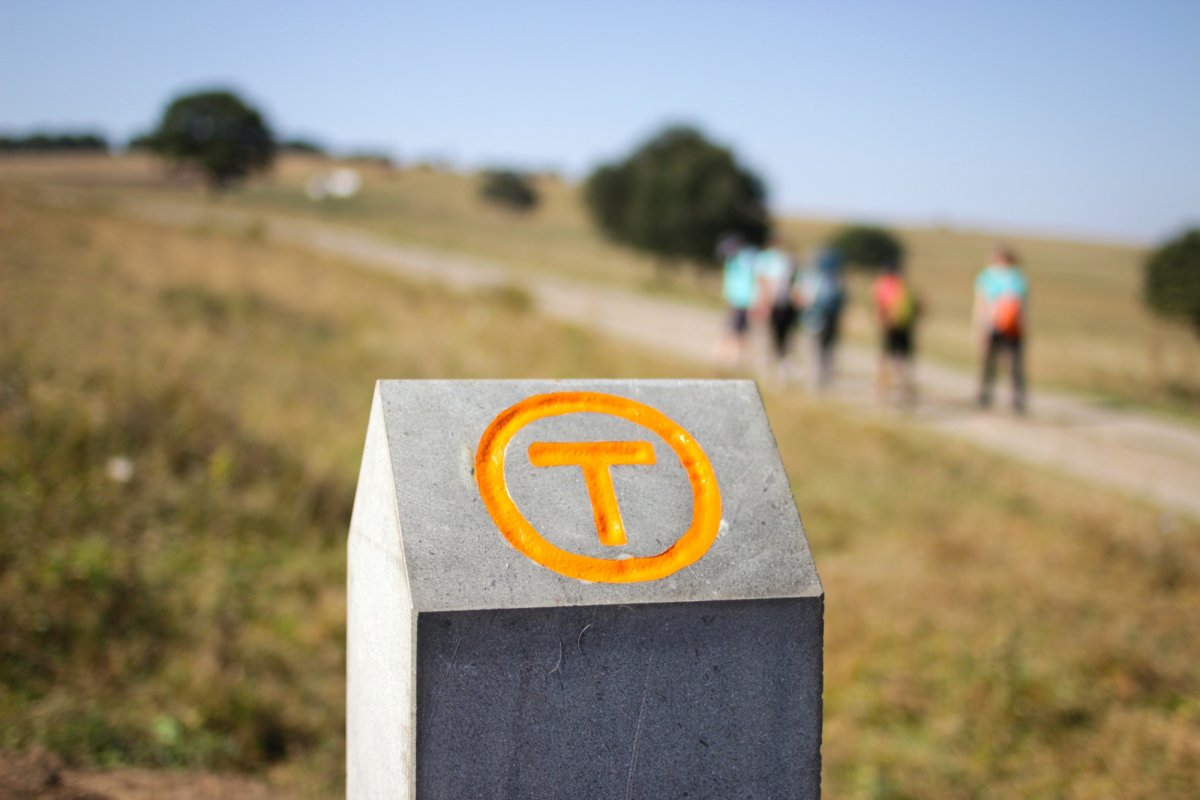 Via Transilvanica a fost finalizată 228023