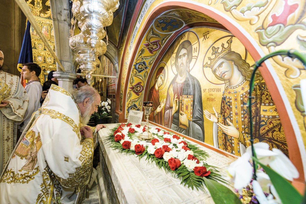 Părinte purtător de grijă 227412