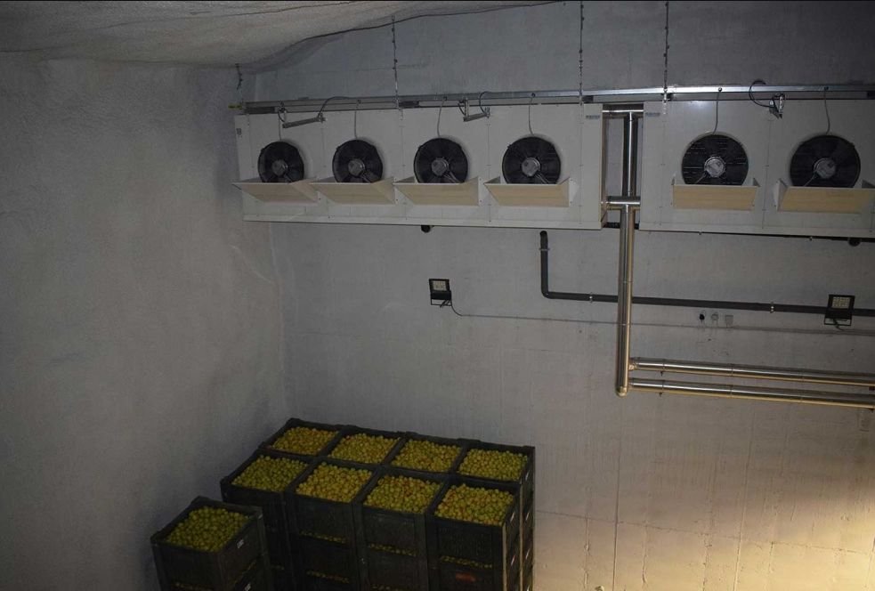 Peșteri pe post de depozite frigorifice 228335