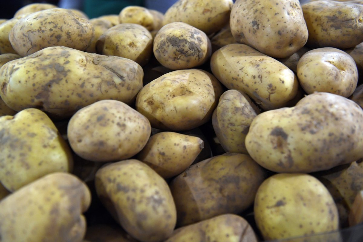 Cartofii, mai puţini  şi mai scumpi  229507