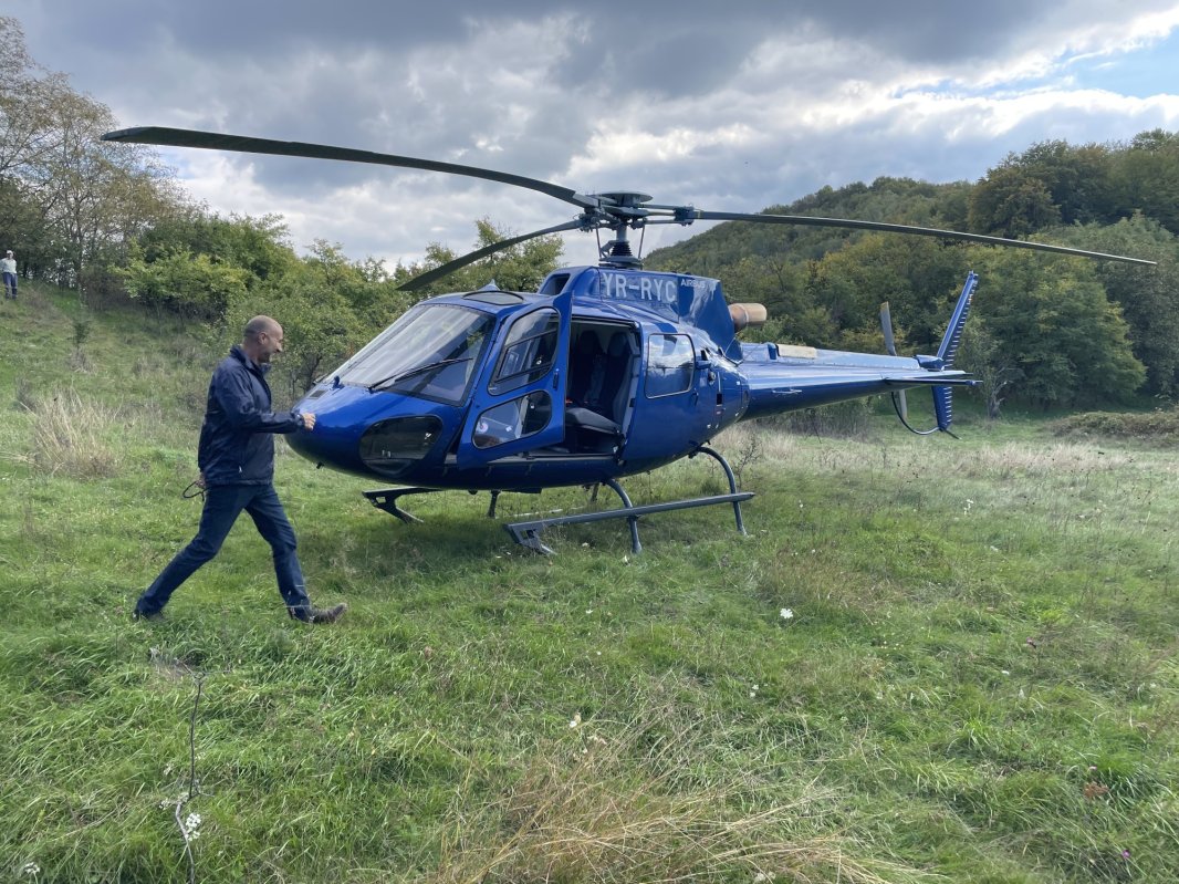 Pelerini căzuți din cer 229633