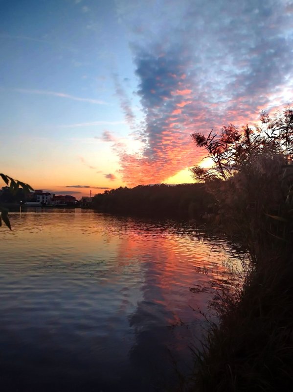 Fotografii artistice ale Publicațiilor Lumina 229821