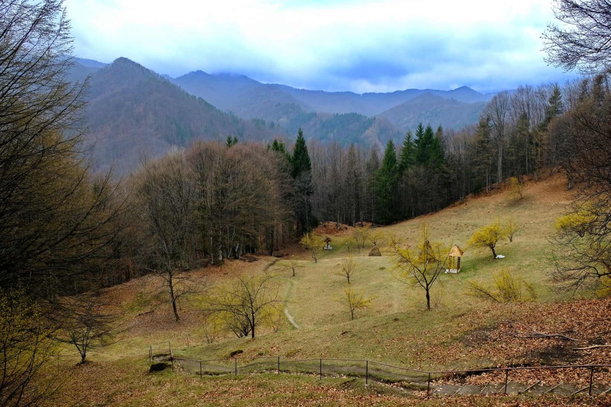 Fotografii artistice ale Publicațiilor Lumina 229823