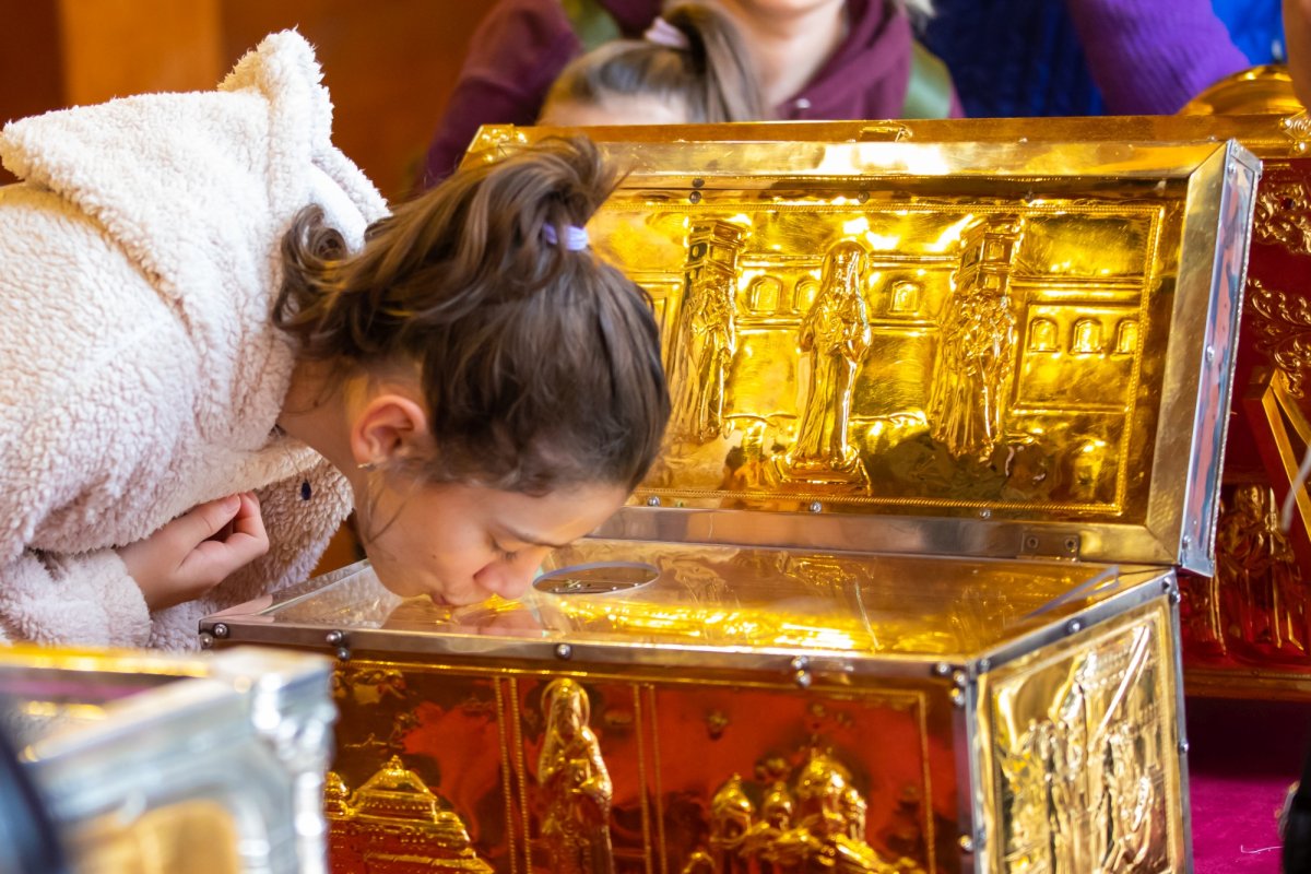 Laudă de seară adusă Mucenicului Dimitrie pe Colina Patriarhiei 231452