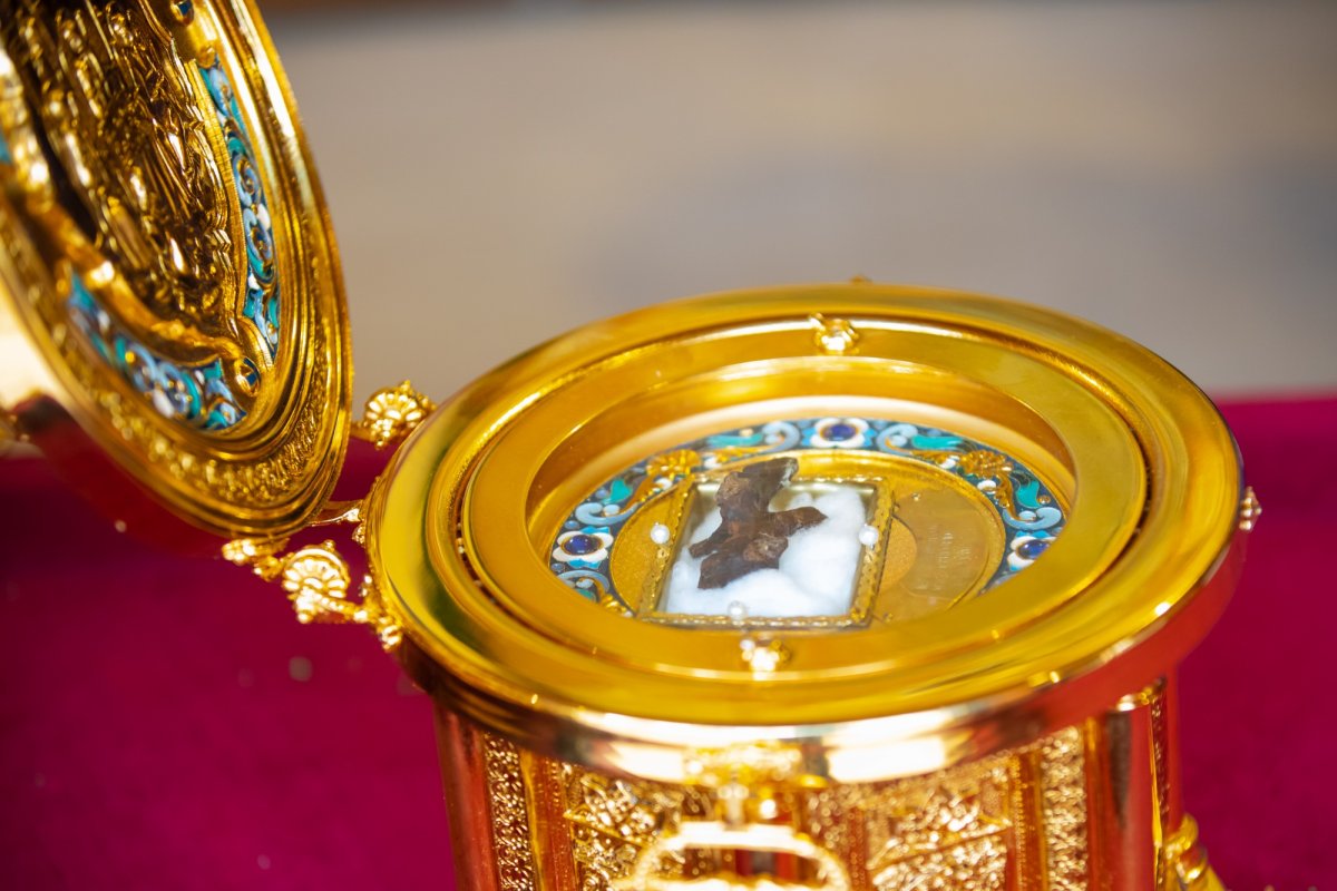 Laudă de seară adusă Mucenicului Dimitrie pe Colina Patriarhiei 231453