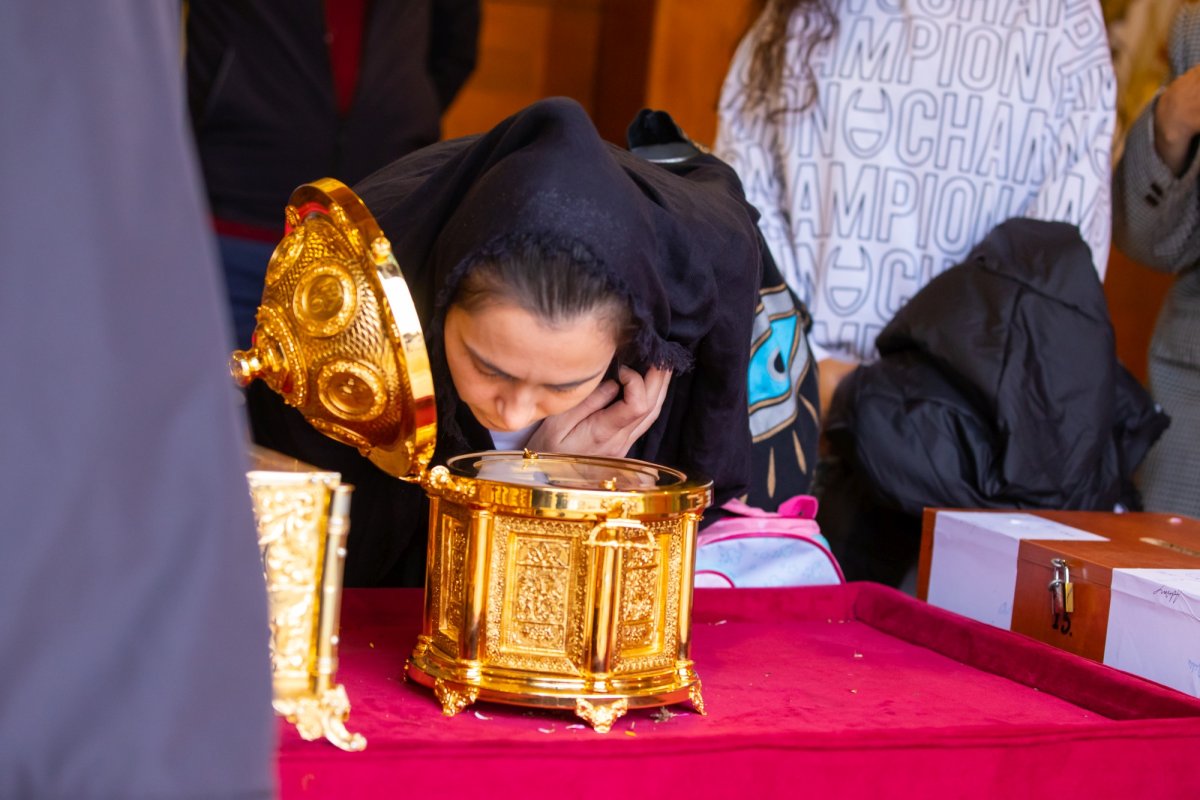 Laudă de seară adusă Mucenicului Dimitrie pe Colina Patriarhiei 231474