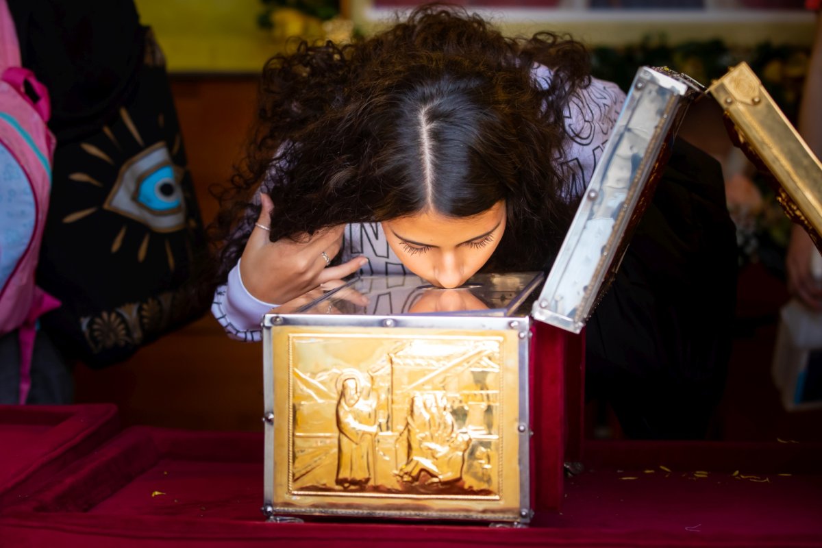 Laudă de seară adusă Mucenicului Dimitrie pe Colina Patriarhiei 231475