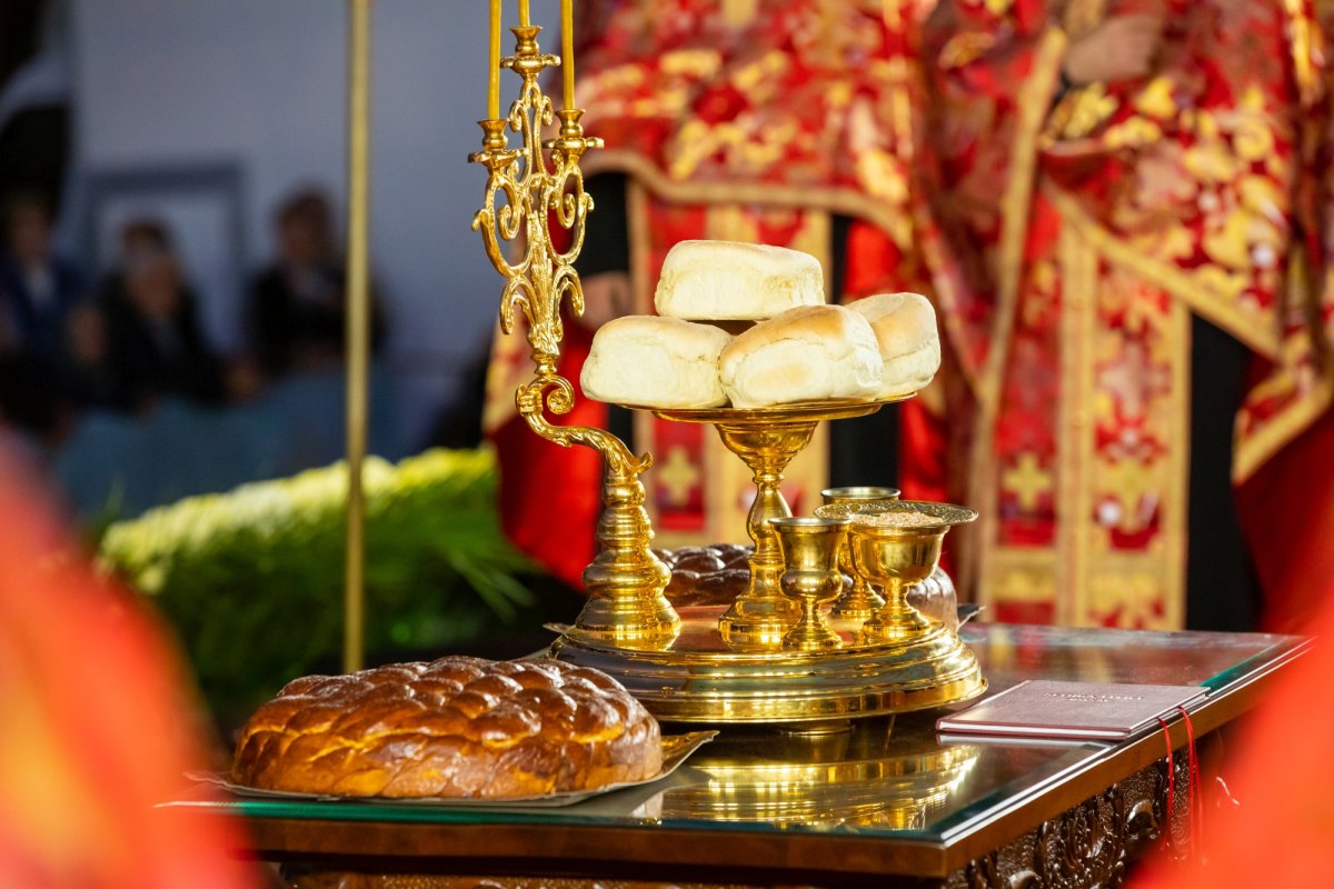 Laudă de seară adusă Mucenicului Dimitrie pe Colina Patriarhiei 231506