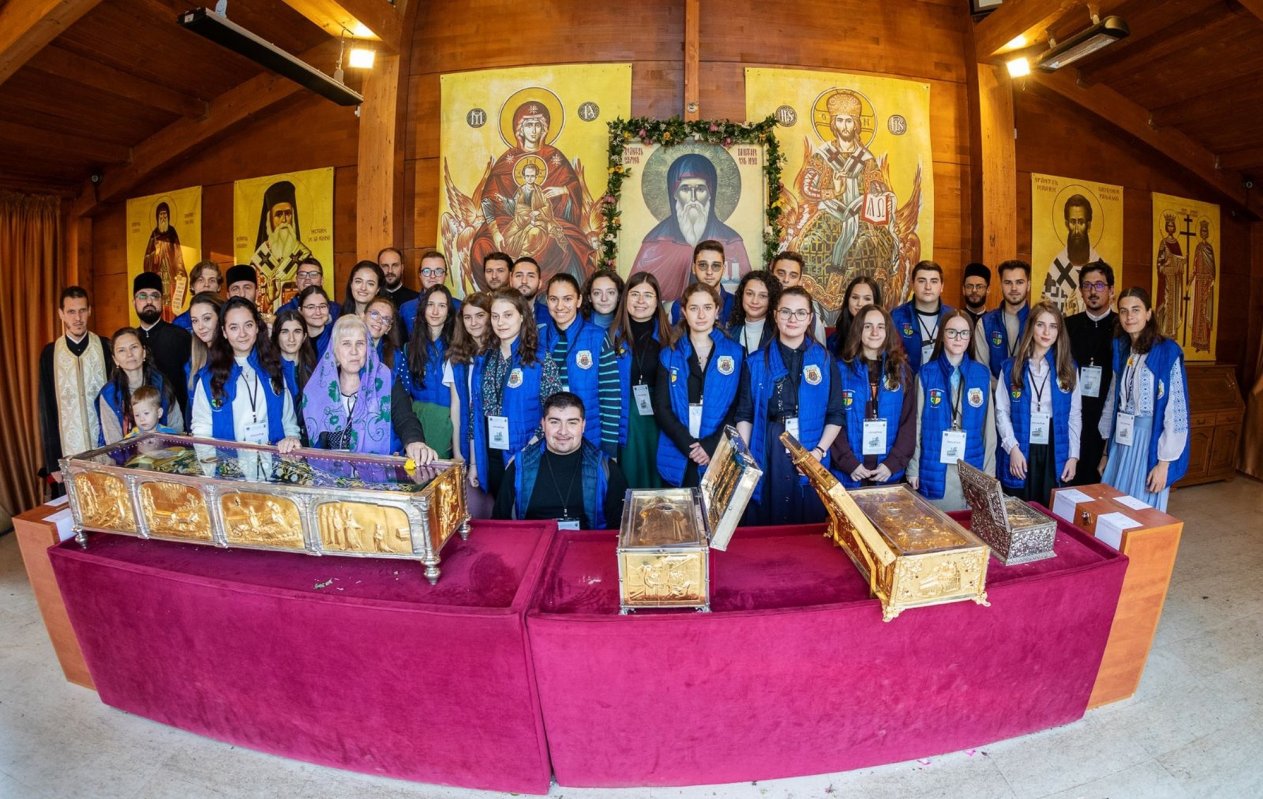 „Tineri în acțiune!“, voluntari pe Colina Bucuriei 232653