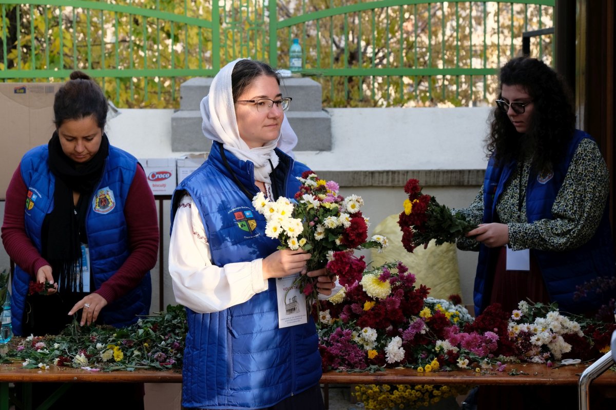 „Tineri în acțiune!“, voluntari pe Colina Bucuriei 232654