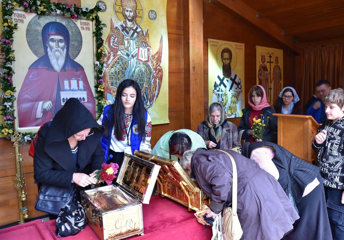 „Tineri în acțiune!“, voluntari pe Colina Bucuriei 232657