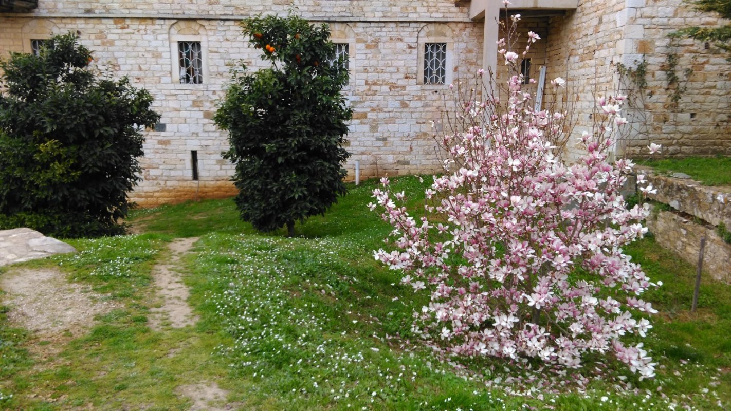 Cel ce se ține nebăgat în seamă 233270