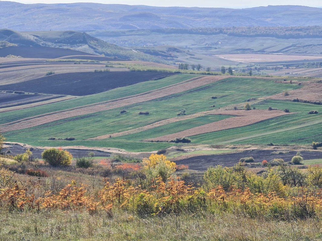 Bisericuța zămislită din liniște de la Mănăstirea 234132