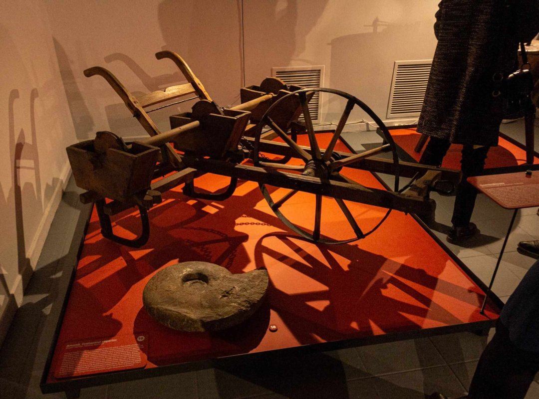 „Muzeul pentru tine!” 234813