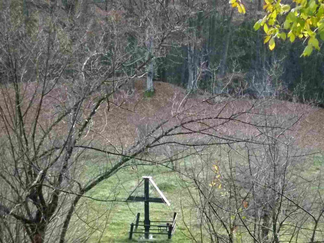 Sărbătoarea din Munții Builei a Cuviosului Antonie de la Iezer 234958