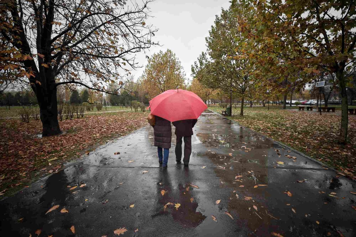 Vreme caldă de 1 Decembrie 235251