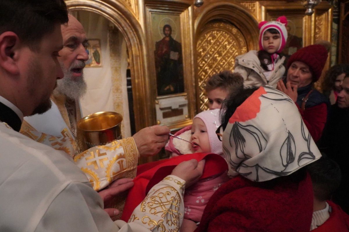 Prinos de laudă adus ocrotitorului orașului Galați 235812