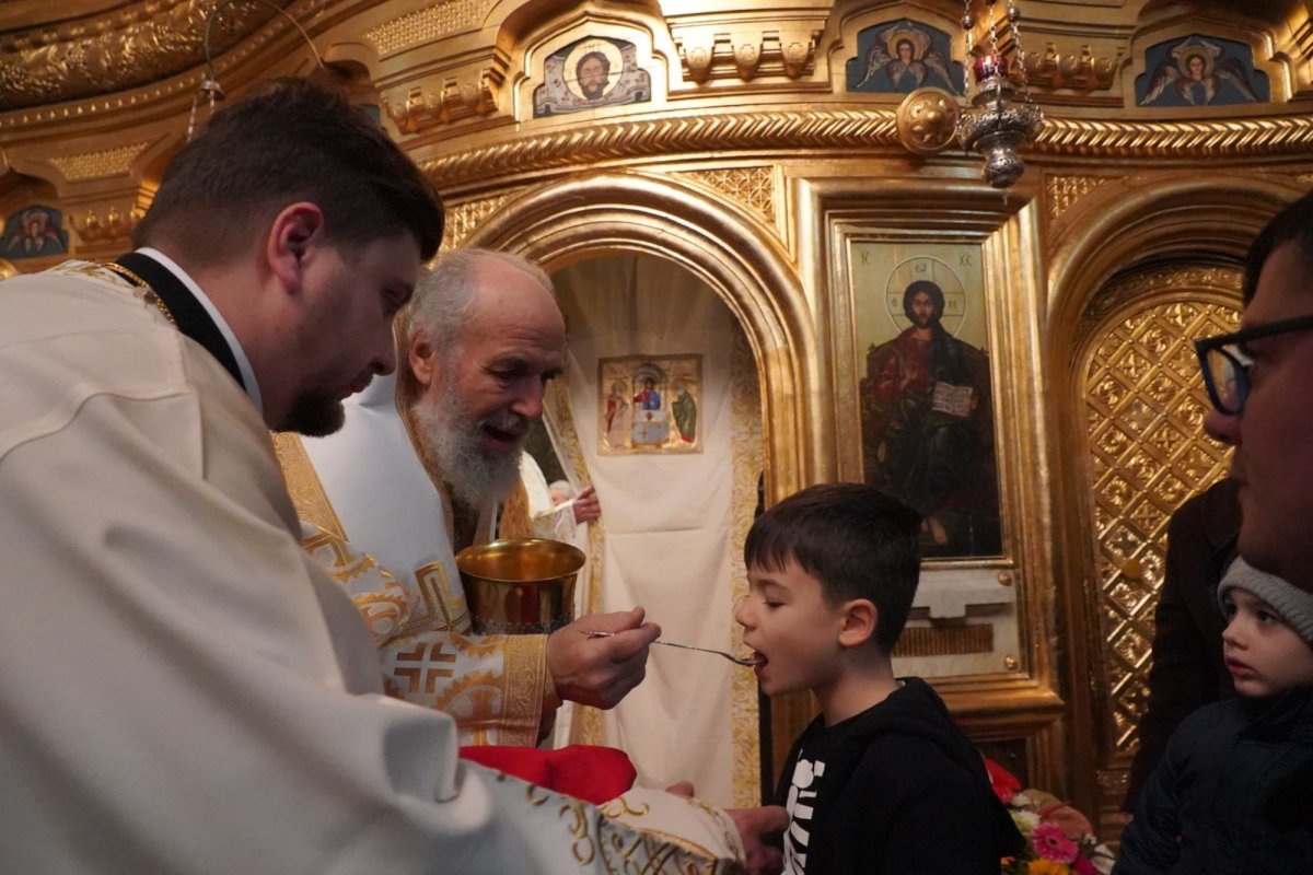 Prinos de laudă adus ocrotitorului orașului Galați 235813