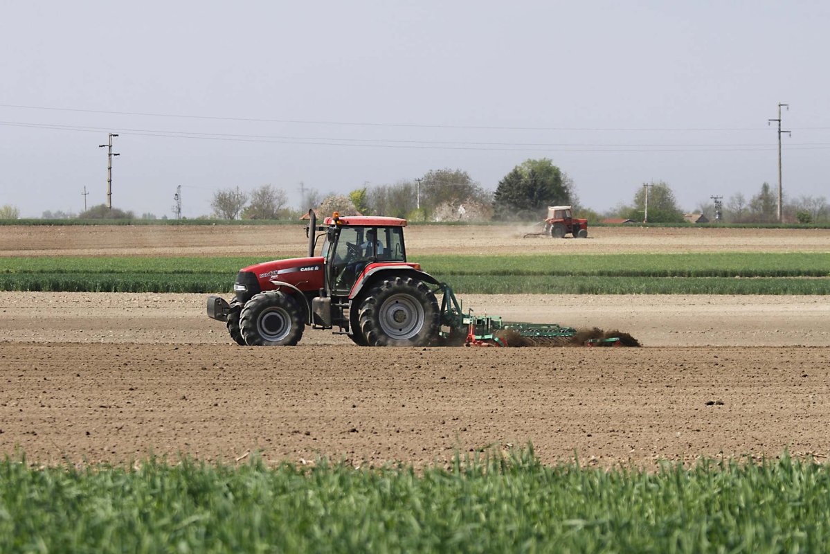 Aproape 16 miliarde de euro pentru agricultură 236950