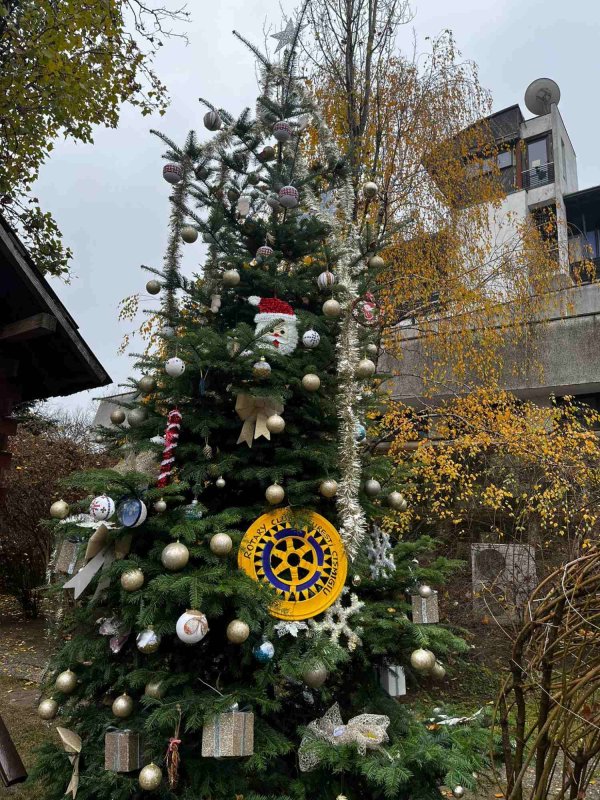 Muzeul Satului „Dimitrie Gusti” a deschis cartea faptelor bune 237294