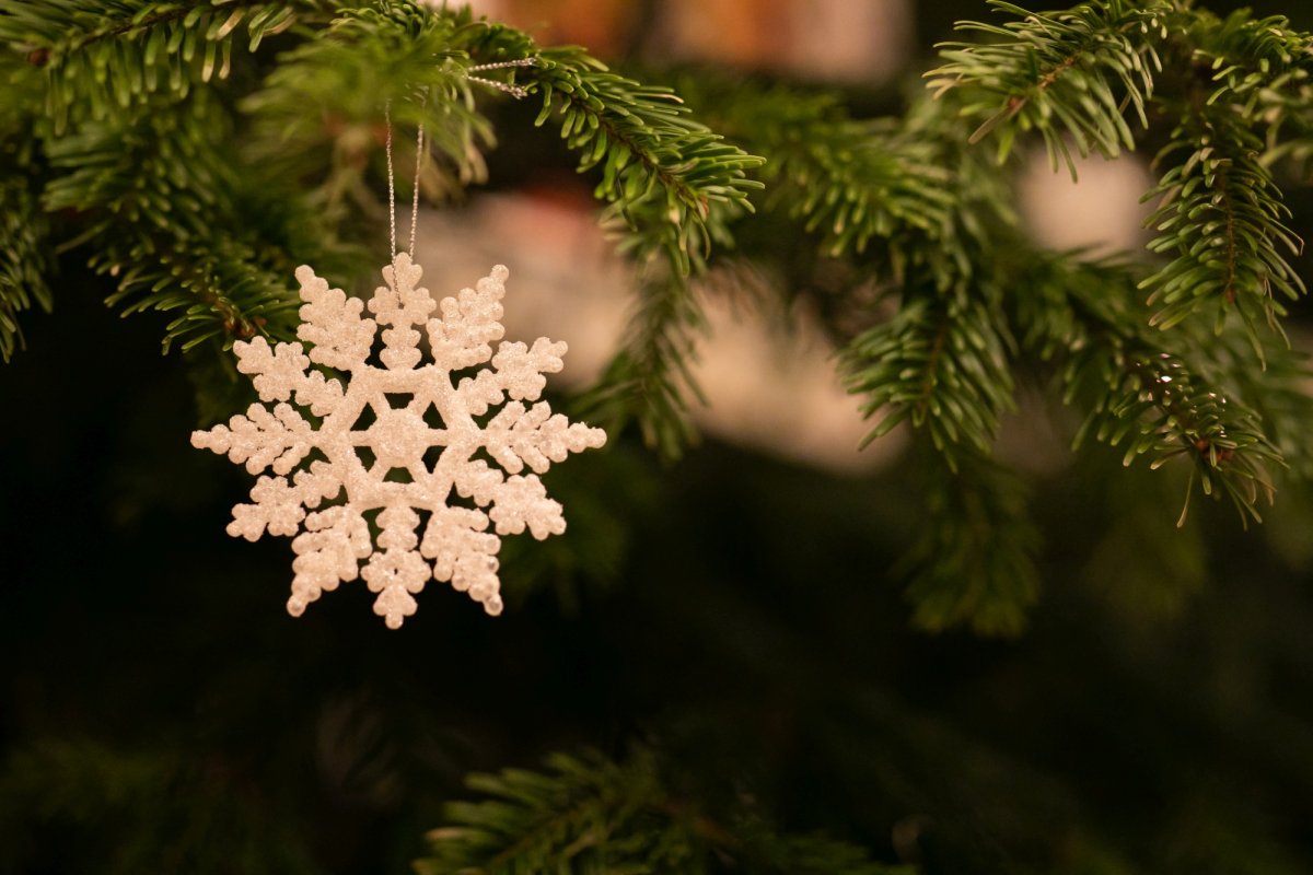 Naşterea Domnului vestită prin colinde la Reşedinţa Patriarhală 238876