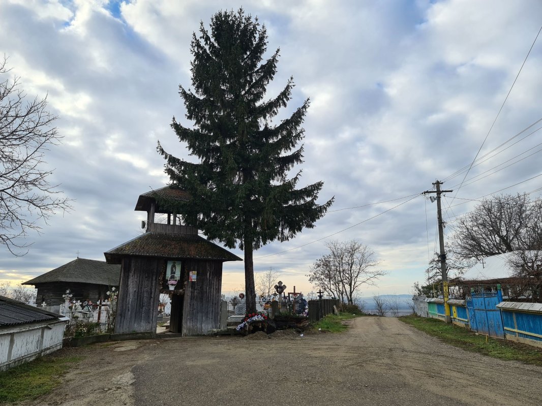 La Miroslovești, într-un timp al dăruirii 238515