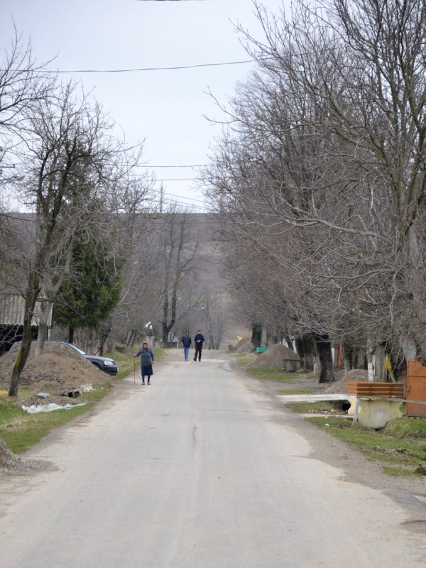 La Miroslovești, într-un timp al dăruirii 238518