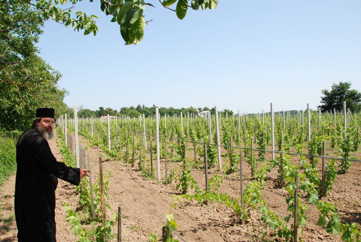 Ritmul muncii și al rugăciunii 241907