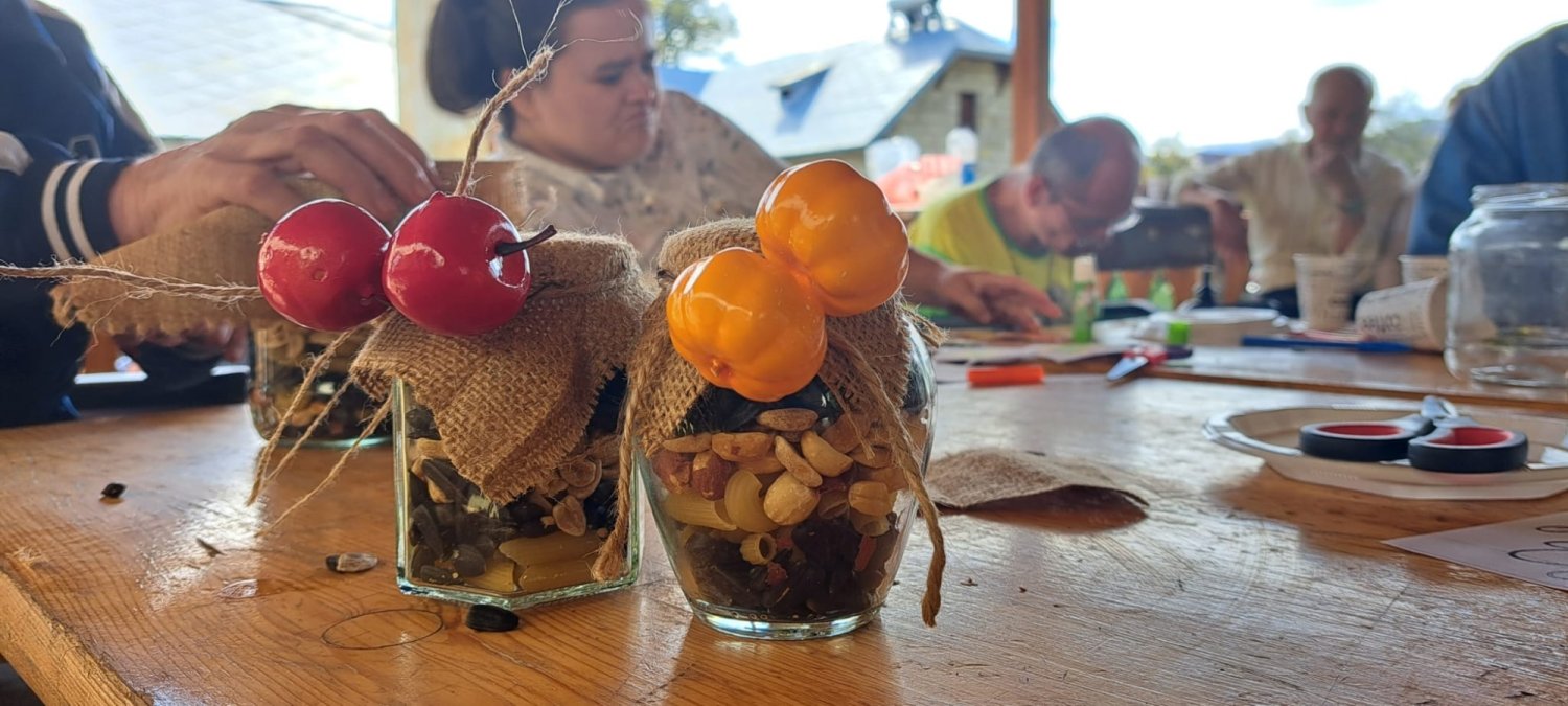 Modelul bio-psiho-socio-spiritual de îngrijire a bătrânilor de la Hârja 242149