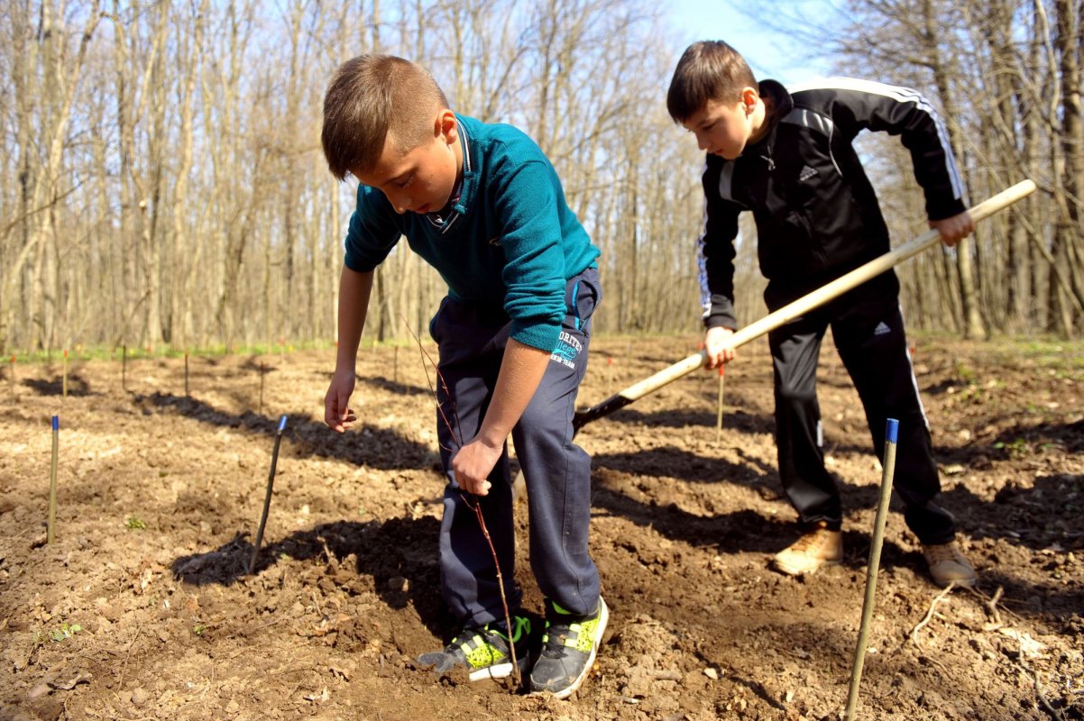 Strategie naţională pentru responsabilizare faţă de mediu 242204