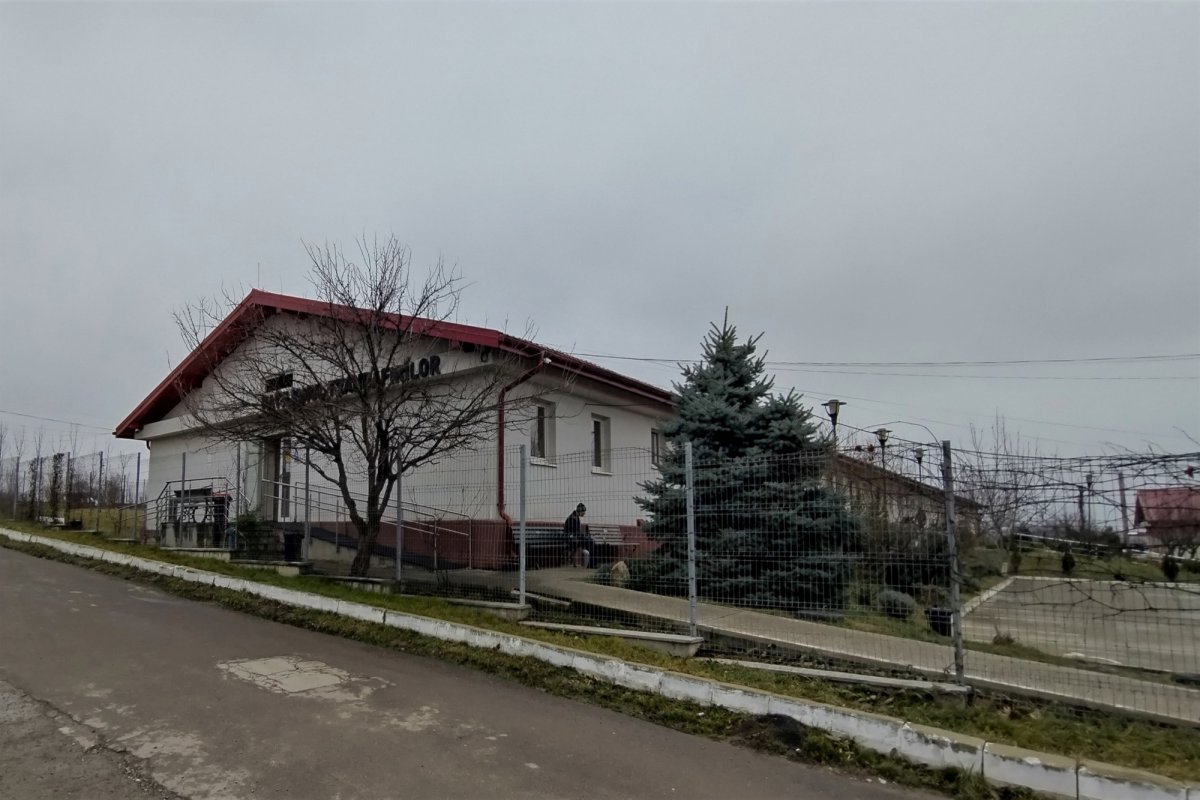 Părinte pentru o sută de bunici 242360