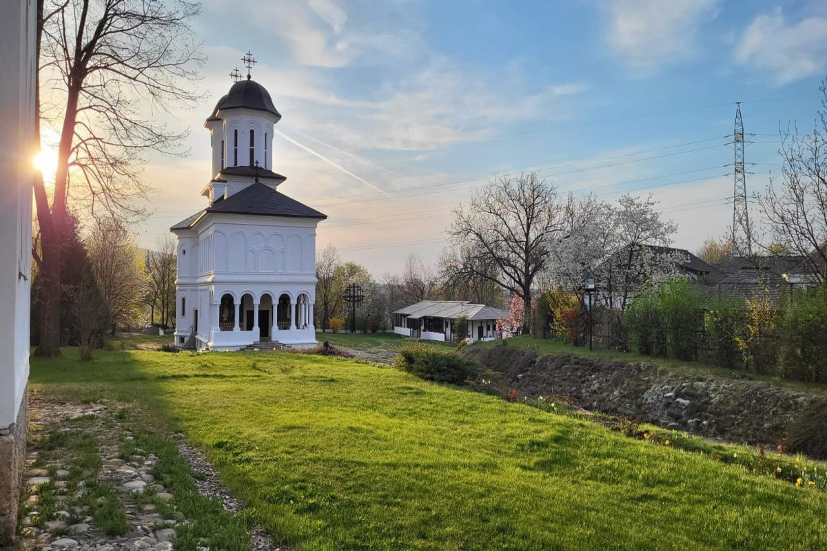 Bătrânețea. Între neputință și biruință 243395