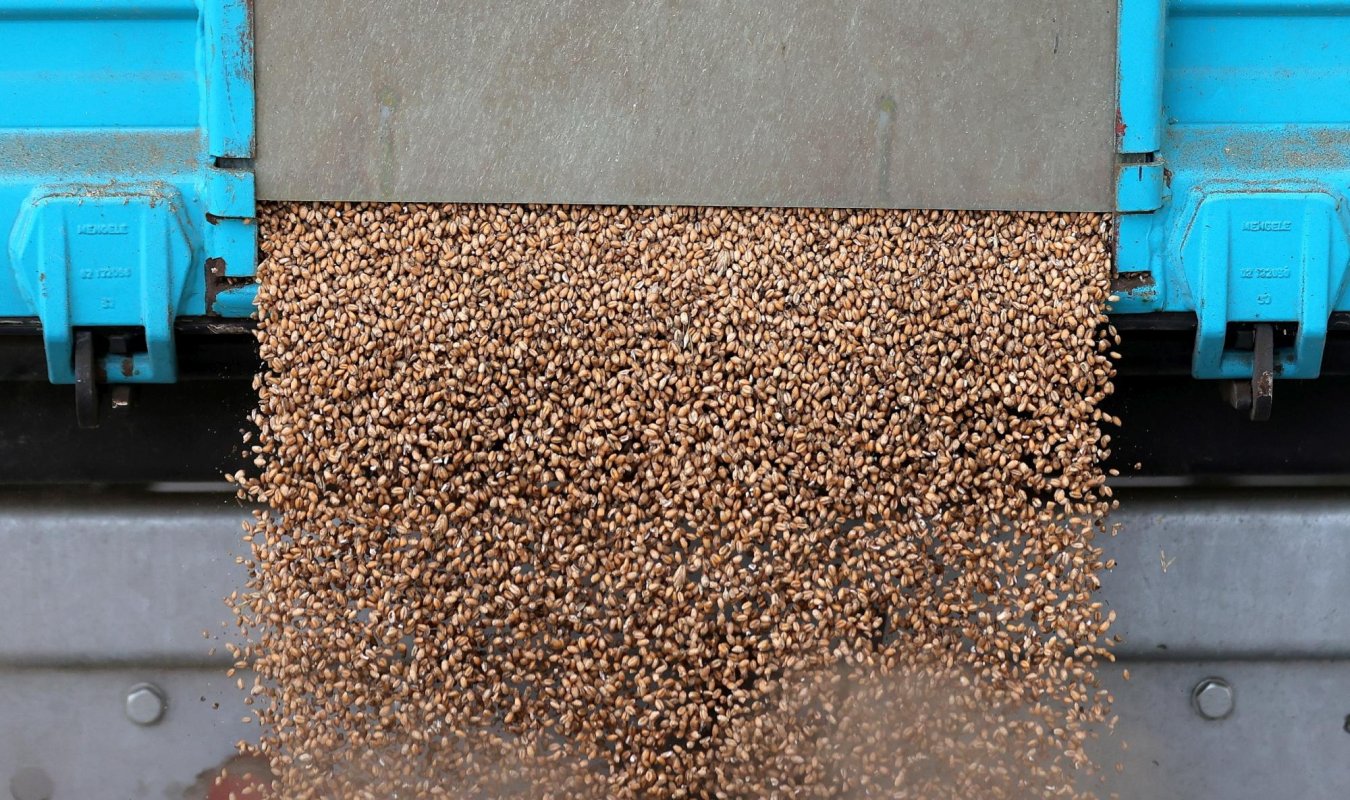 Est-europenii sunt copleșiți de importurile de cereale ucrainene 243732