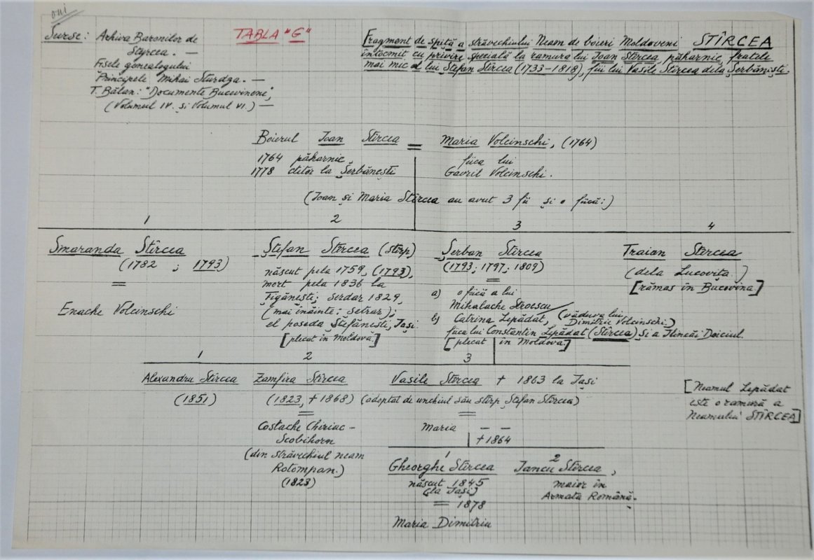 „Mihai Sturdza a fost un salvator și un depozitar al memoriei familiilor boierești” 245348