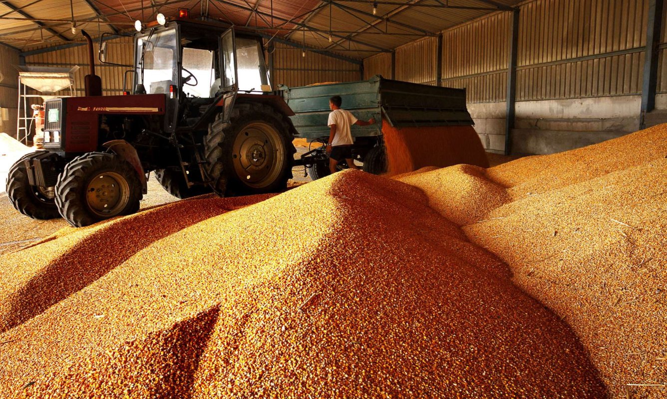 Fermierii români, afectaţi de conflictul din Ucraina 245796