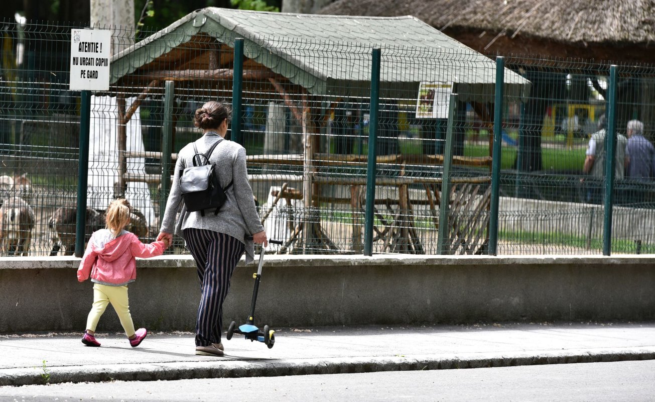 Femeile alocă patru ore zilnic responsabilităților casnice 246060