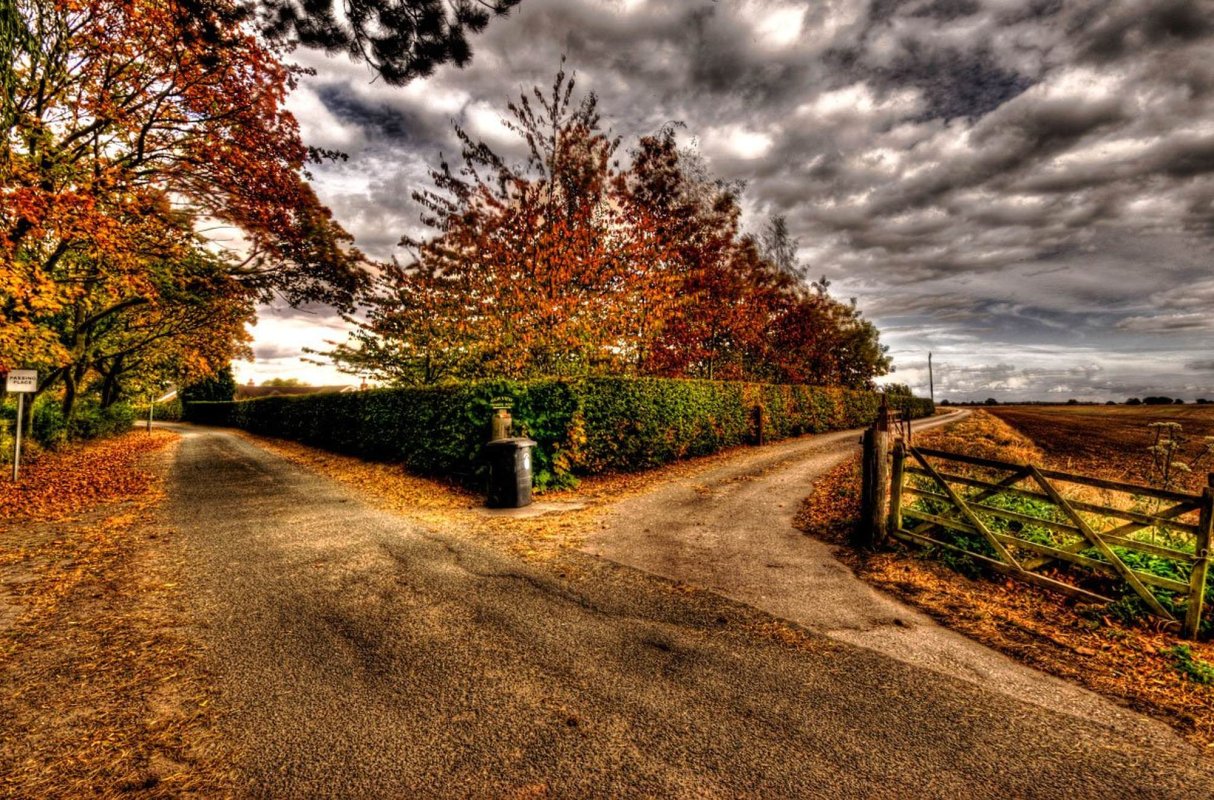 Liberul arbitru 246501