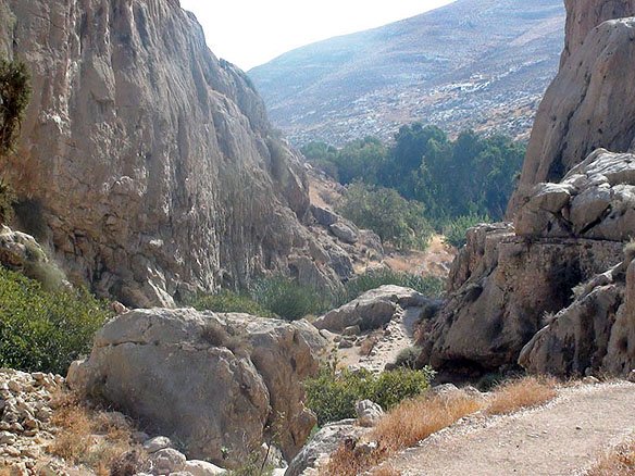 În Țara Sfântă, pe urmele marilor sihaștri 246781