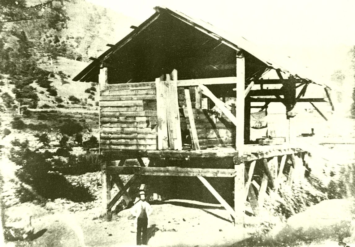 Cum a început „goana după aur” 246925