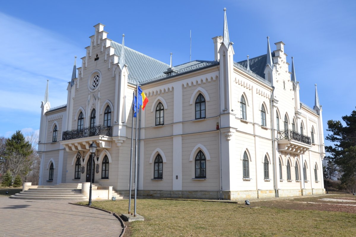 Ruginoasa, singurul cămin al domnitorului Unirii 247010