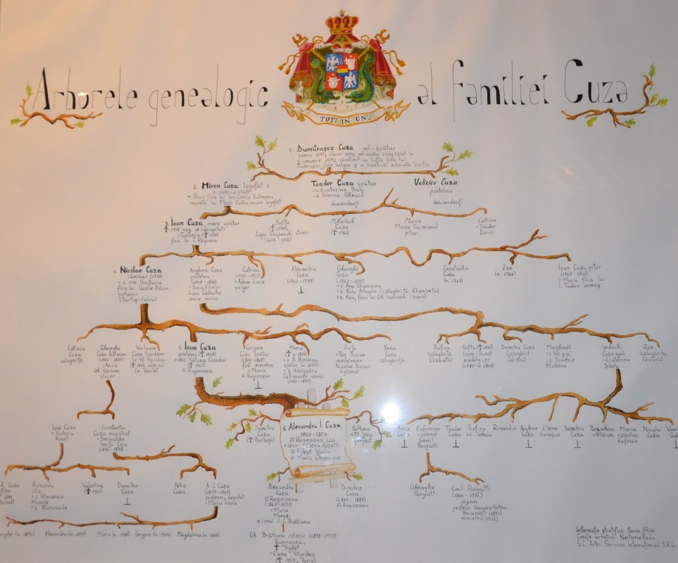 Ruginoasa, singurul cămin al domnitorului Unirii 247011