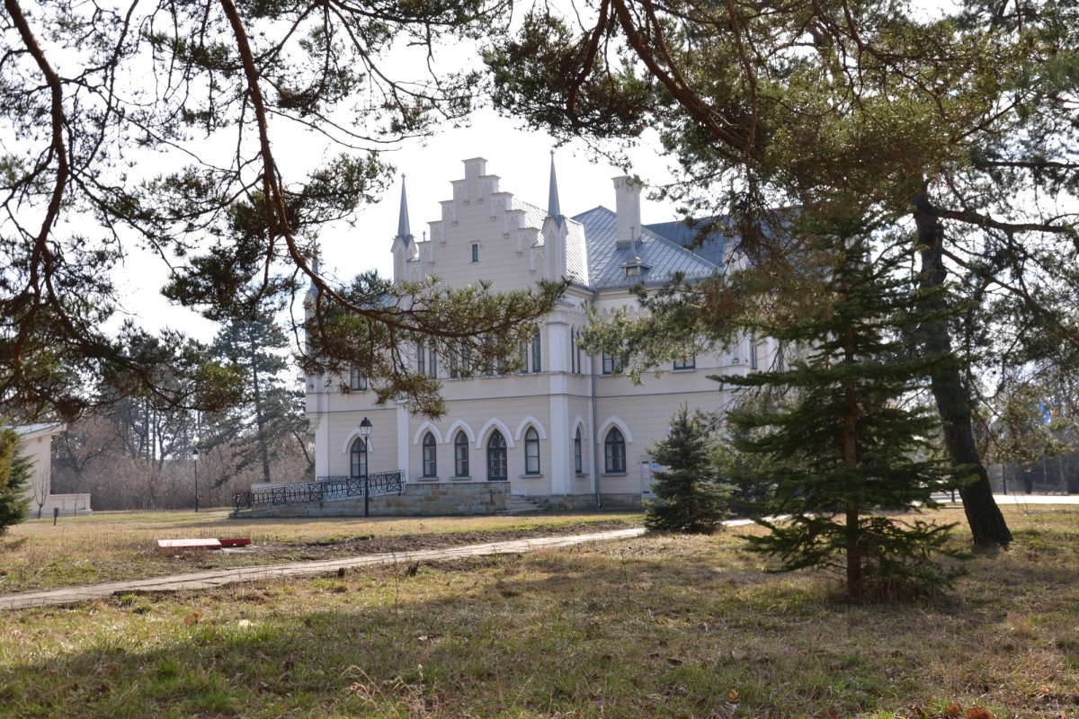 Ruginoasa, singurul cămin al domnitorului Unirii 247016